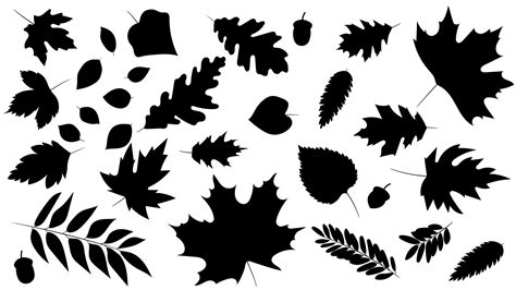 autumn leaf silhouette|autumn leaf silhouette clip art.